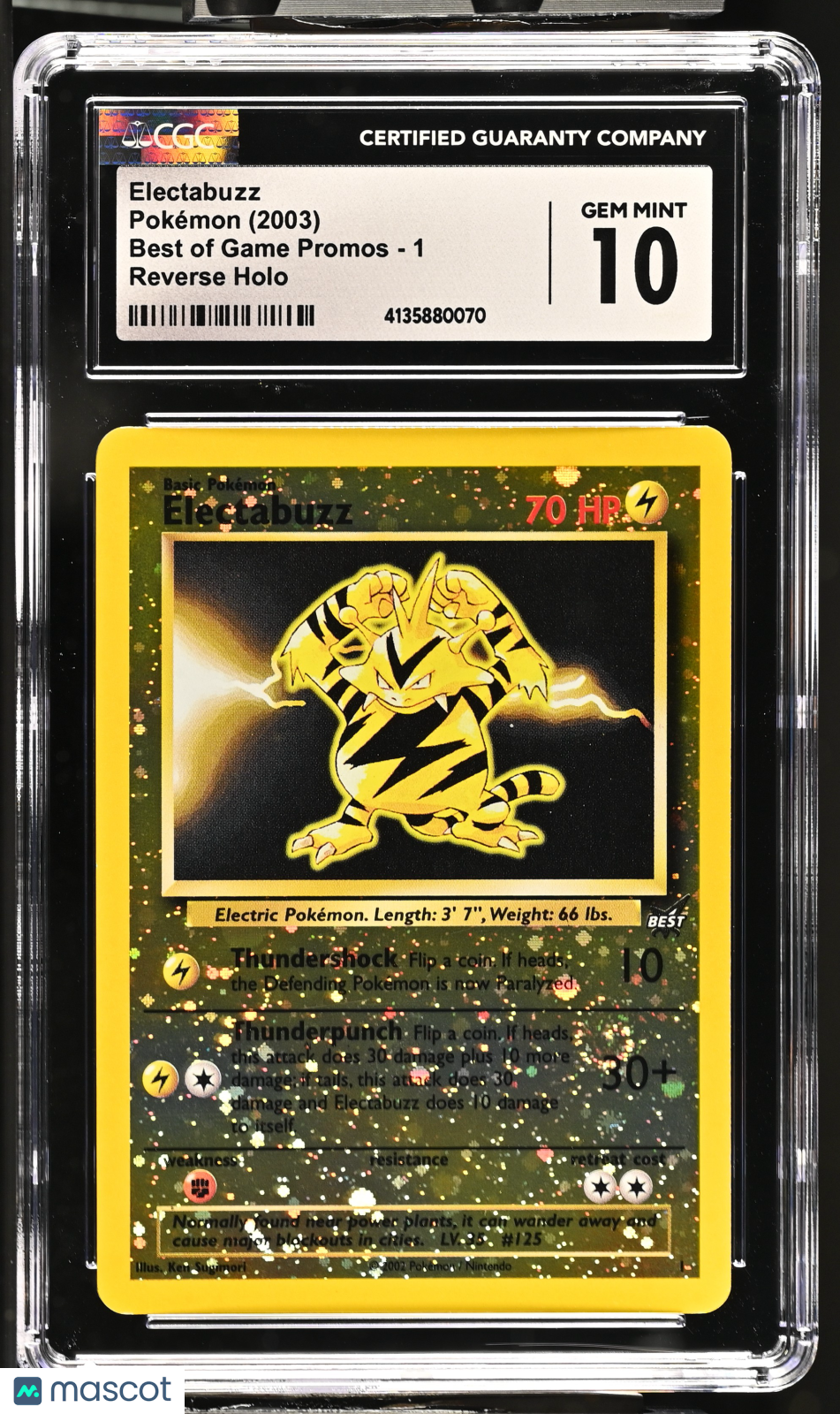 PokéNOLA Collectibles 