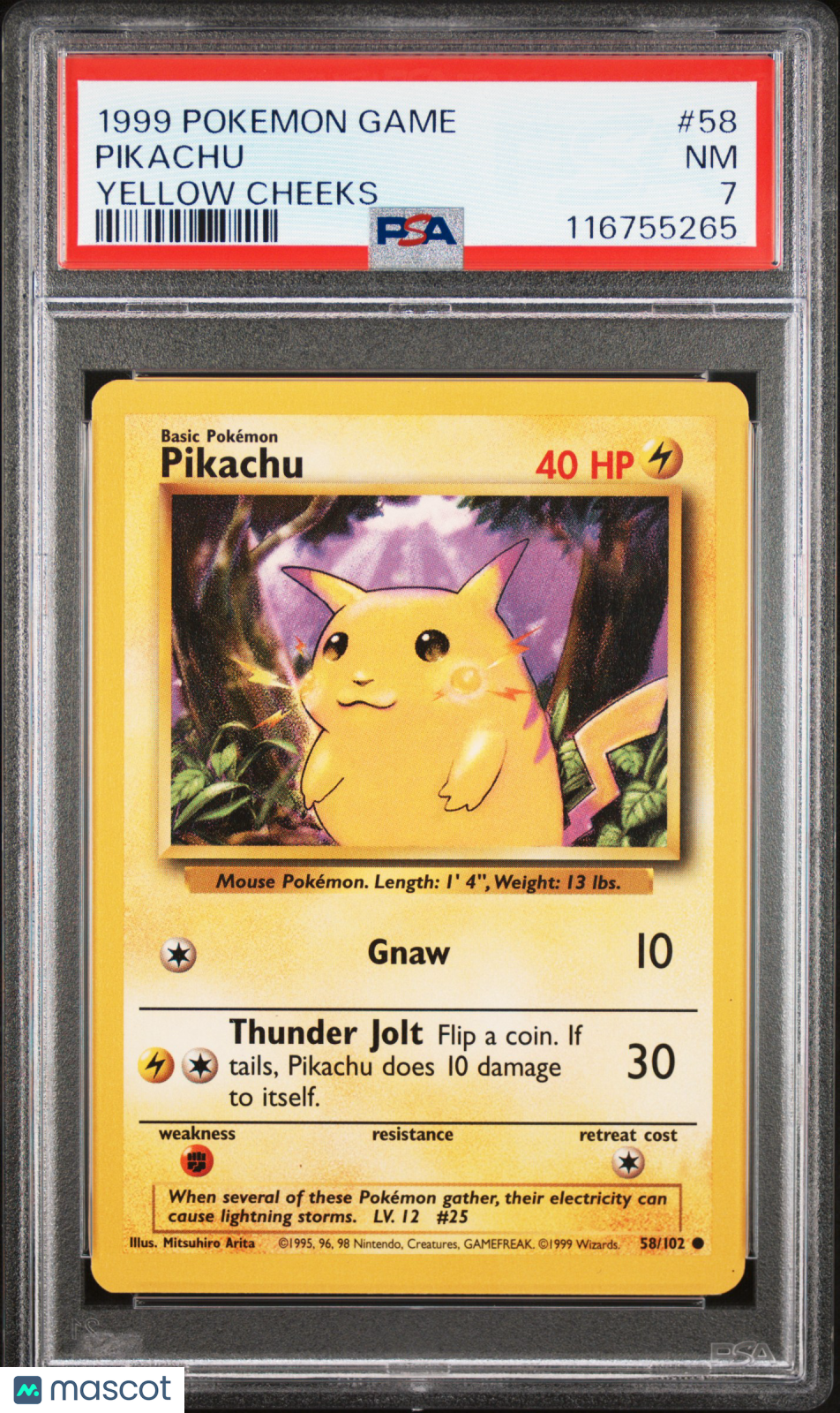 PokéNOLA Collectibles 
