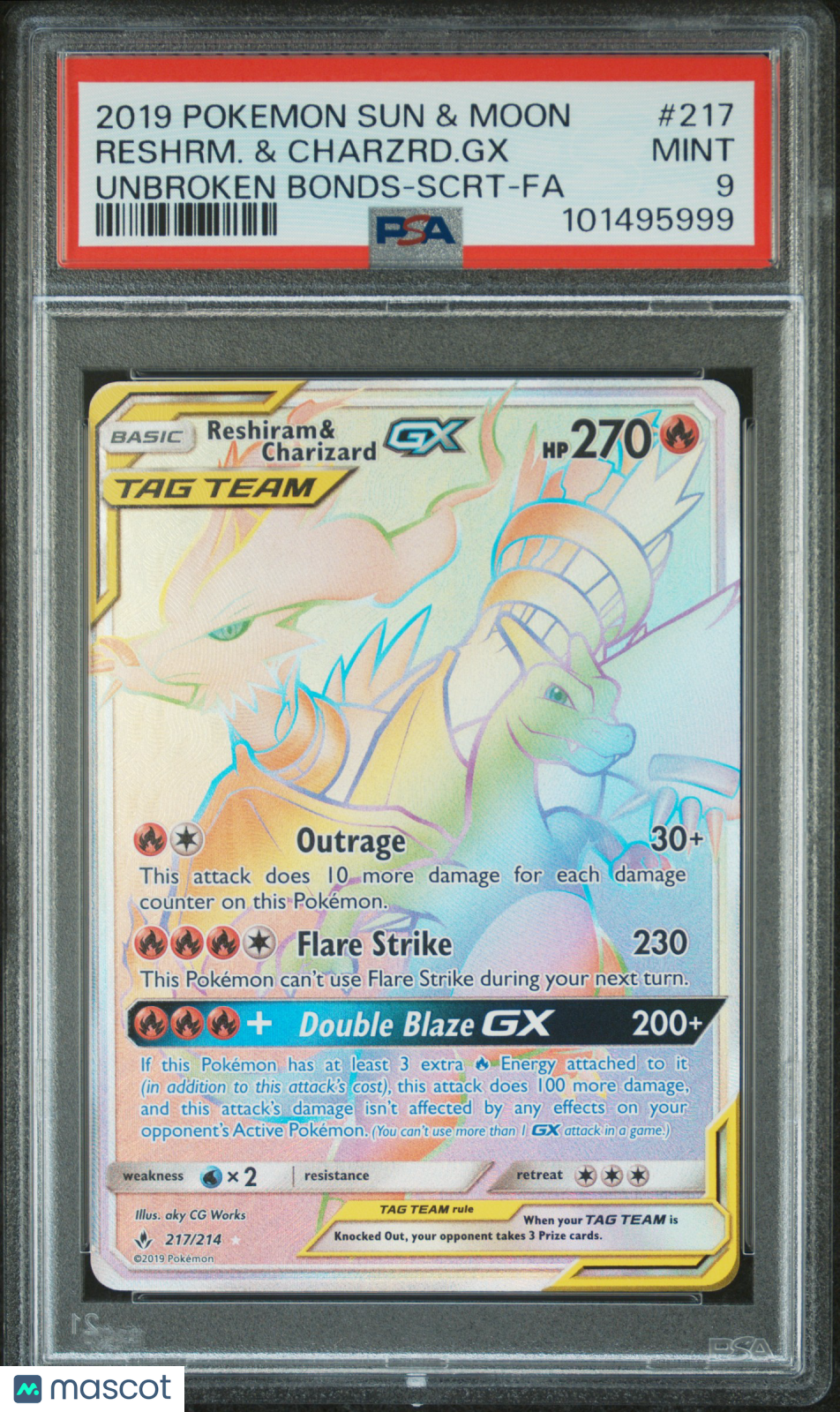 PokéNOLA Collectibles 