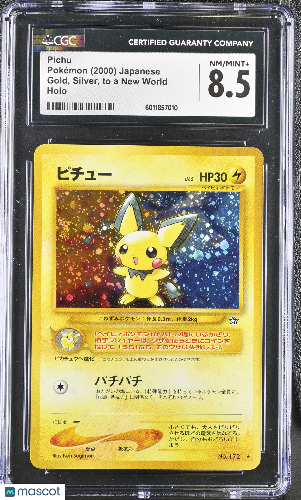 PokéNOLA Collectibles 