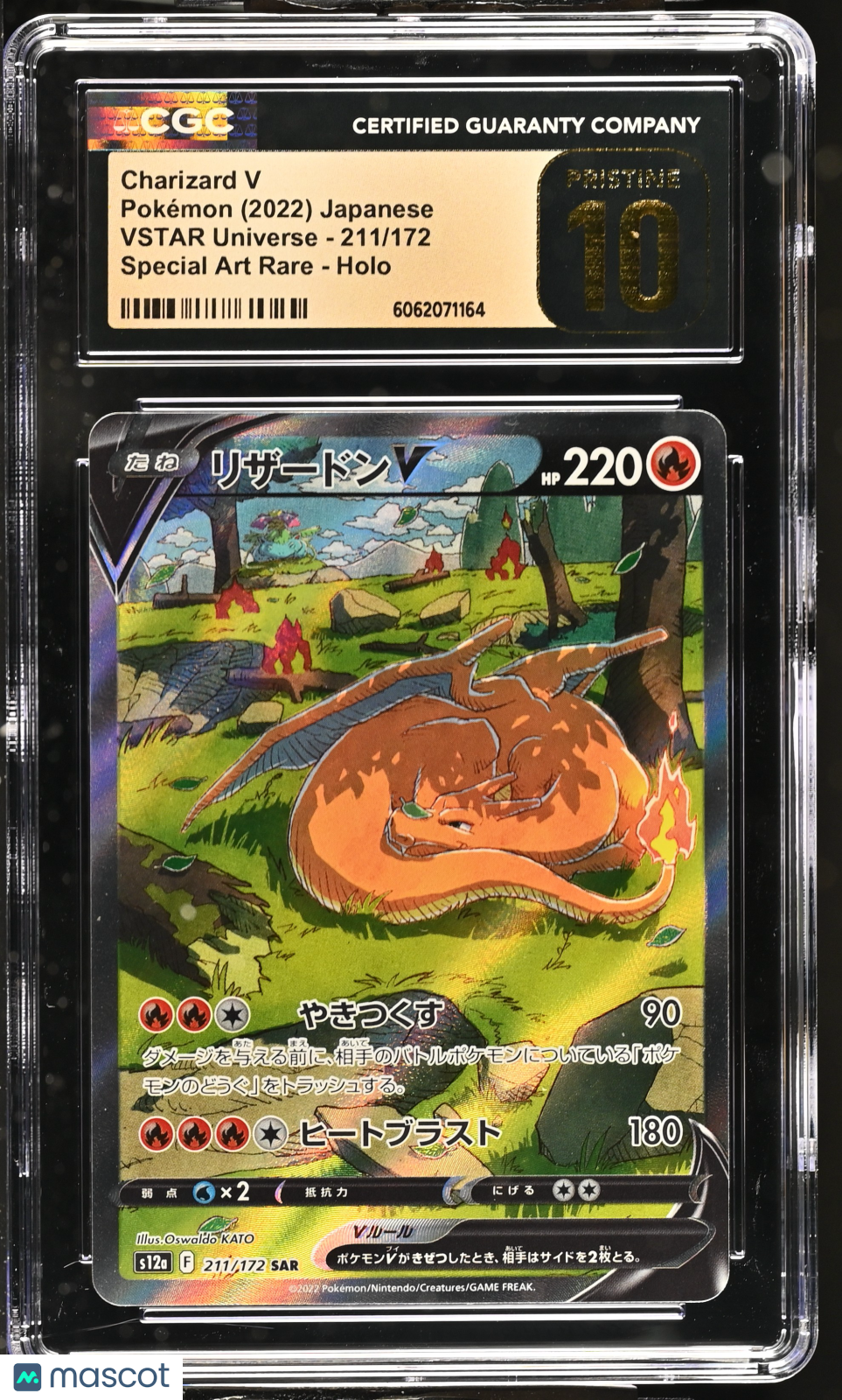 PokéNOLA Collectibles 