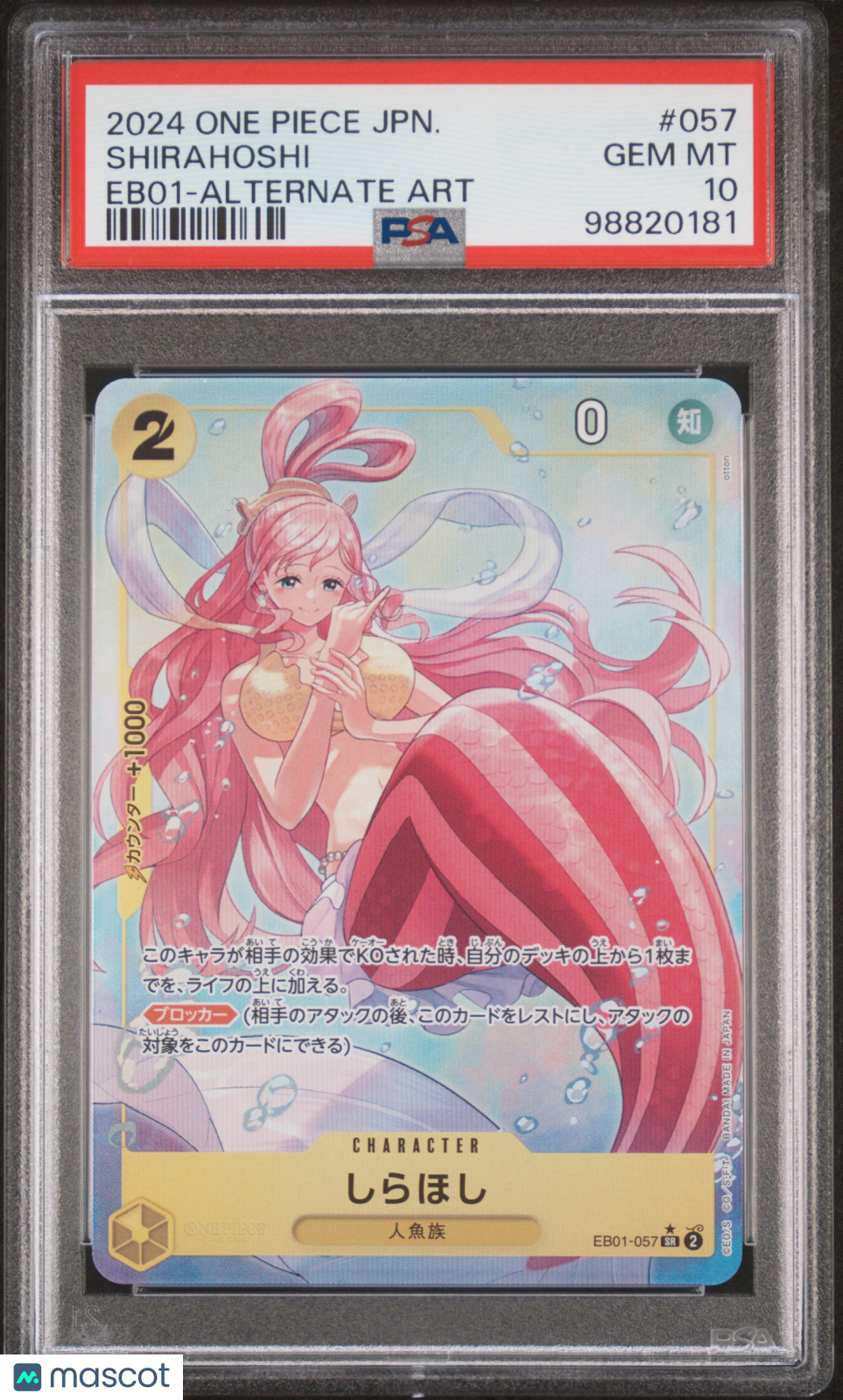 PokéNOLA Collectibles 