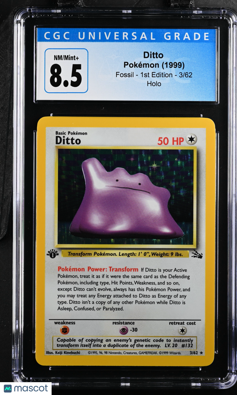 PokéNOLA Collectibles 