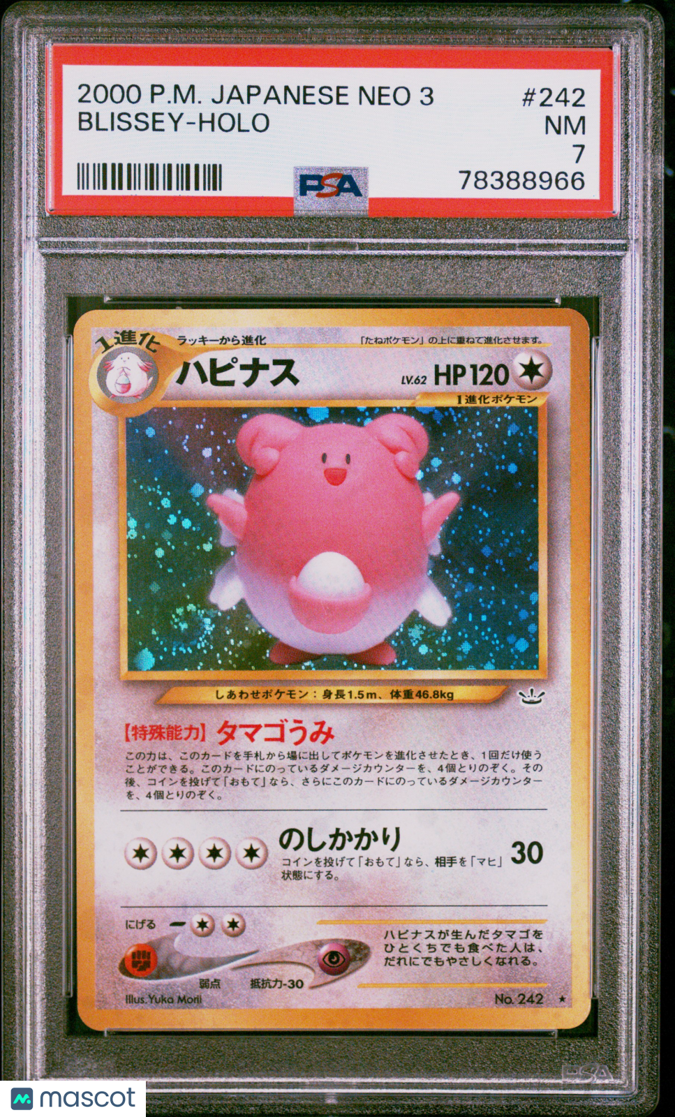 PokéNOLA Collectibles 