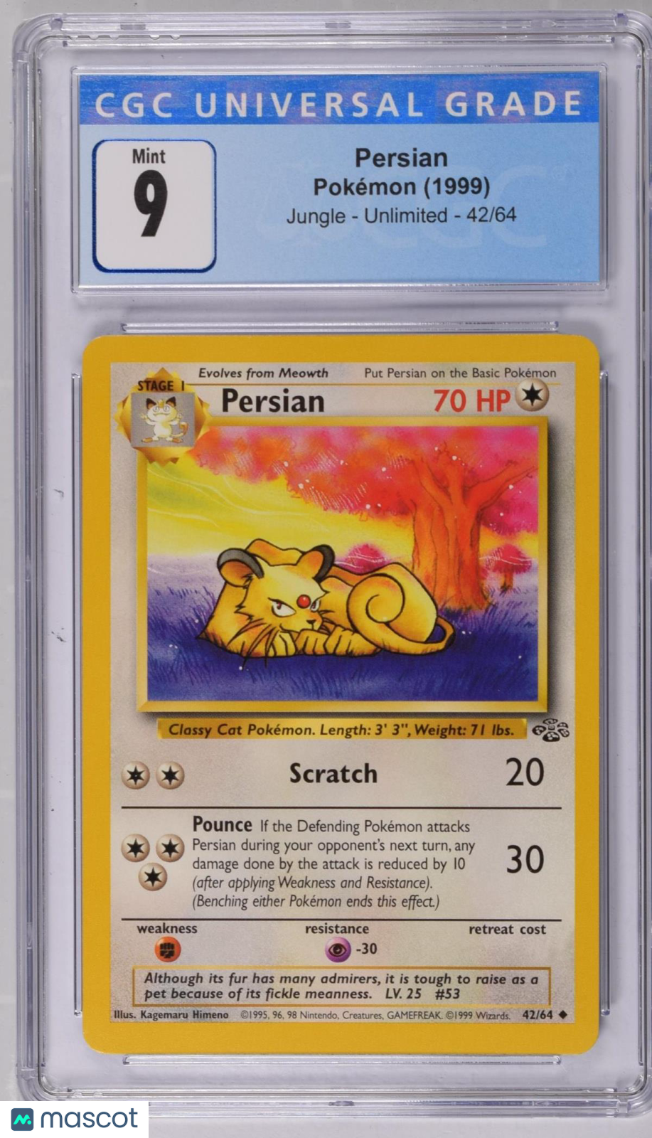 PokéNOLA Collectibles 