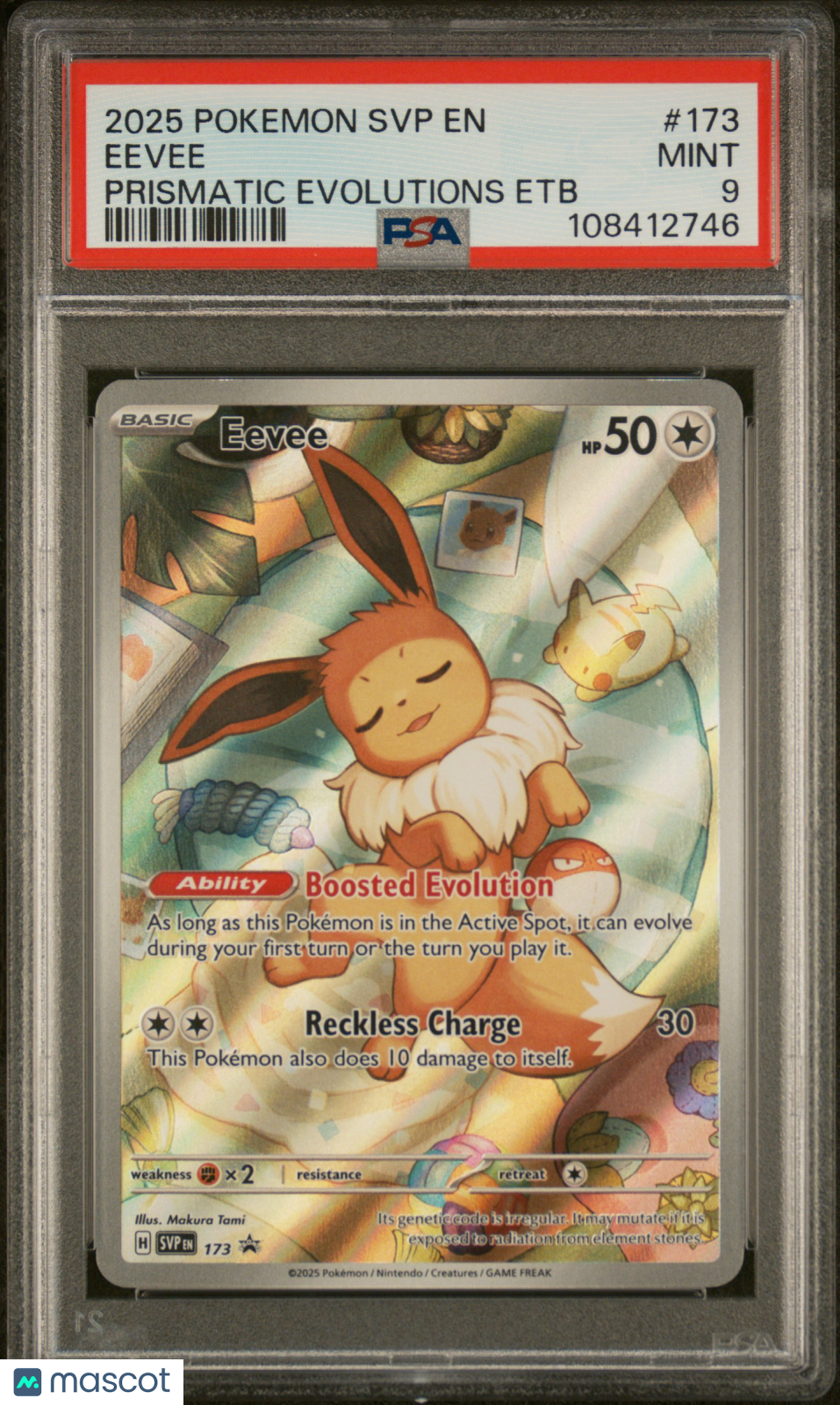 PokéNOLA Collectibles 