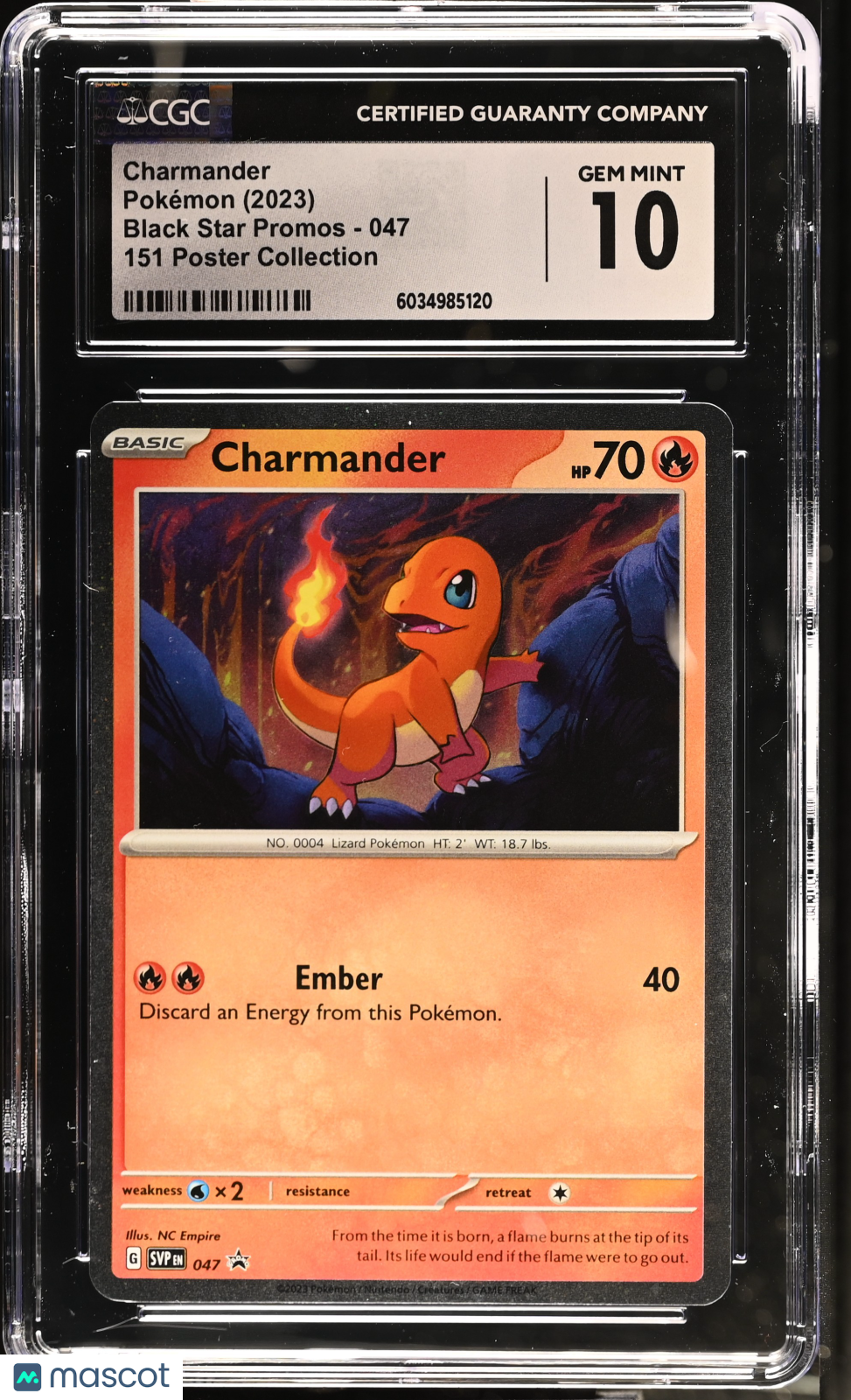 PokéNOLA Collectibles 