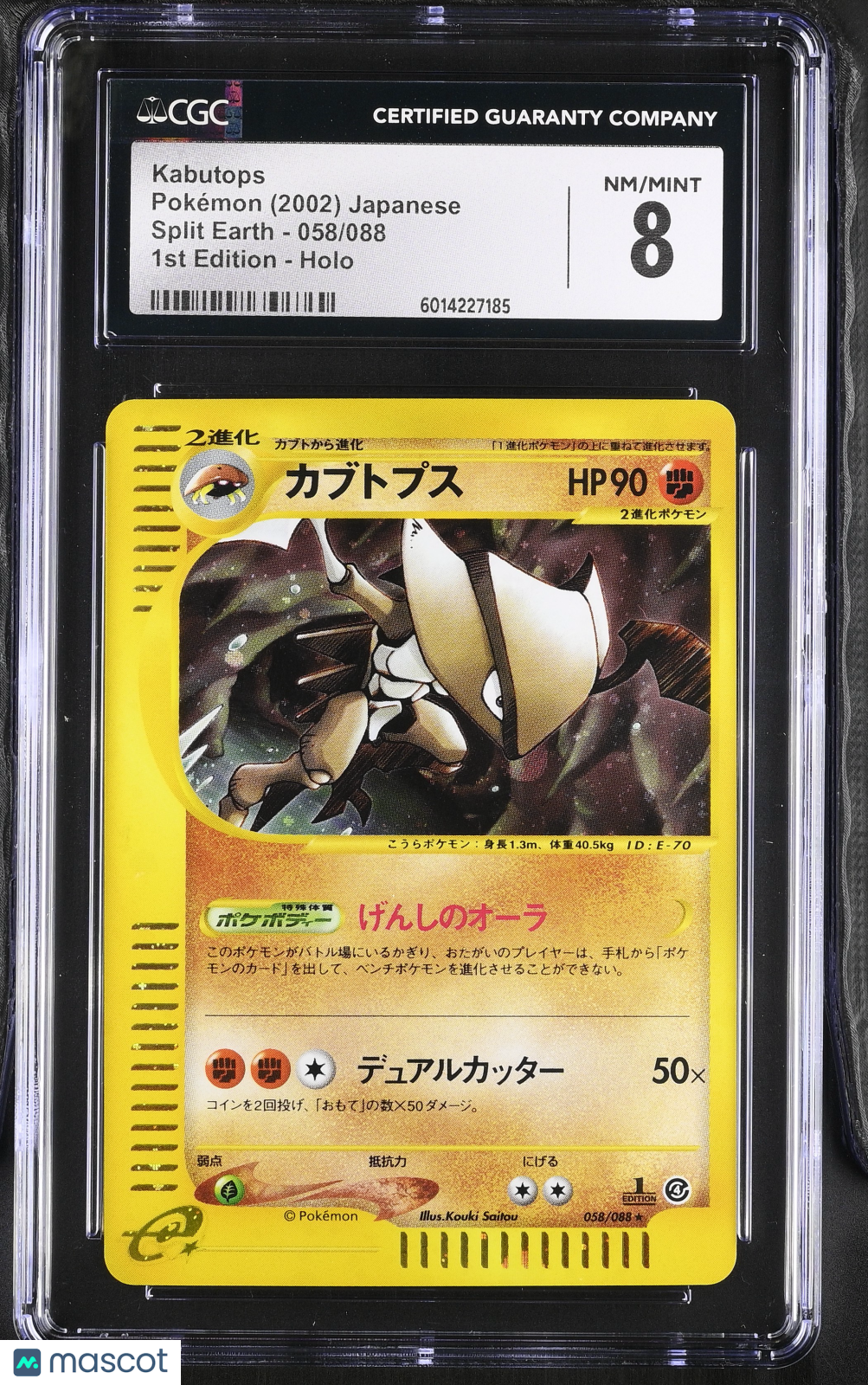 PokéNOLA Collectibles 