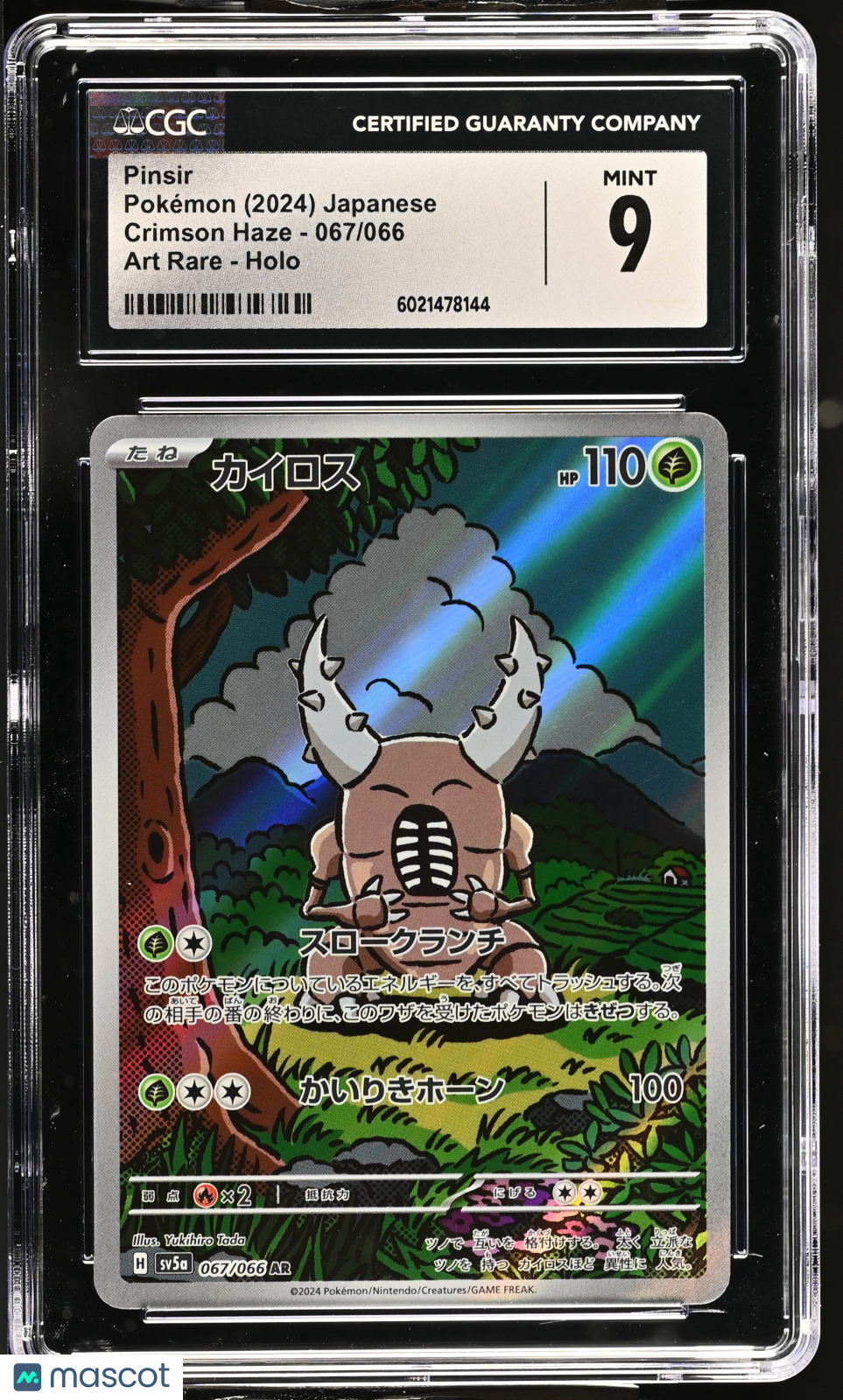 PokéNOLA Collectibles 