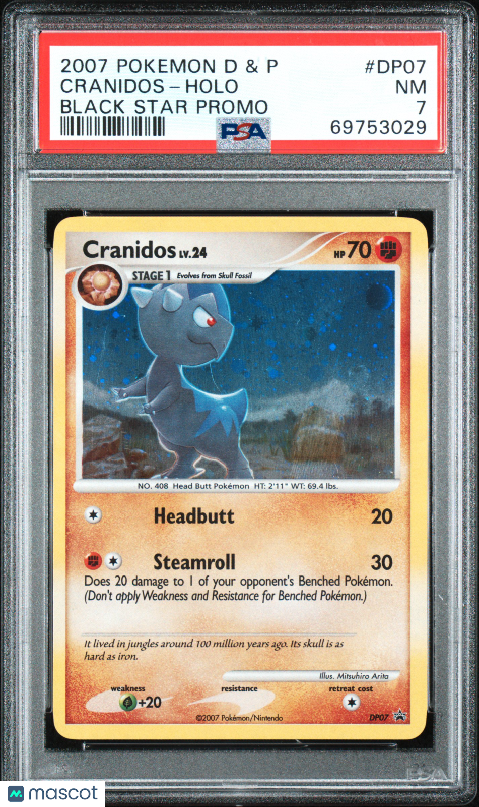 PokéNOLA Collectibles 