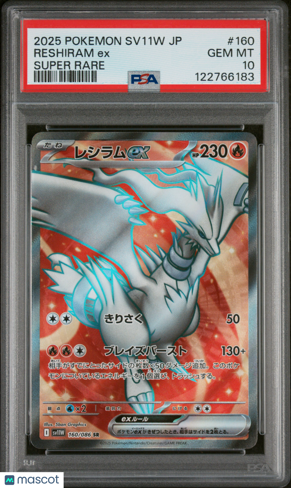PokéNOLA Collectibles 