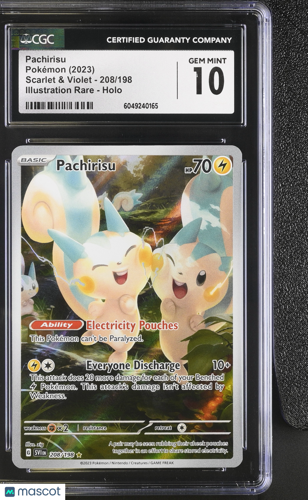 Graded Pokemon TCG Slabs PokNOLA Collectibles Graded Pokemon TCG Slabs PokNOLA Collectibles
