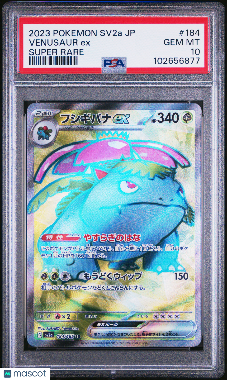 PokéNOLA Collectibles 