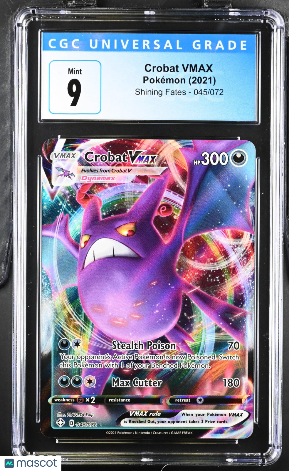 PokéNOLA Collectibles 