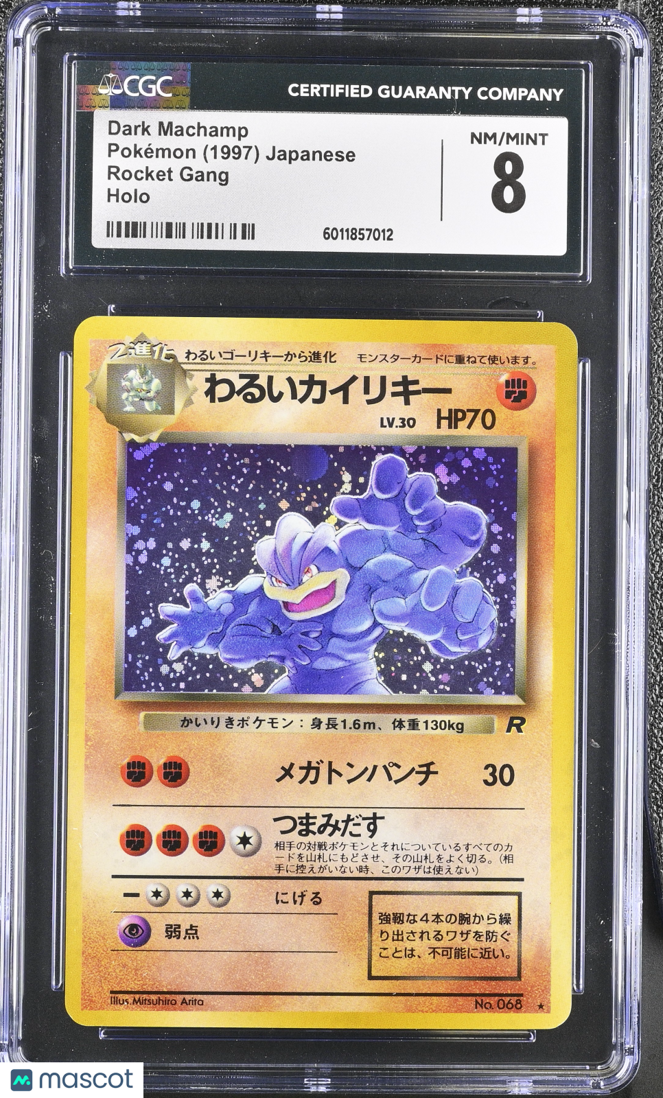 PokéNOLA Collectibles 