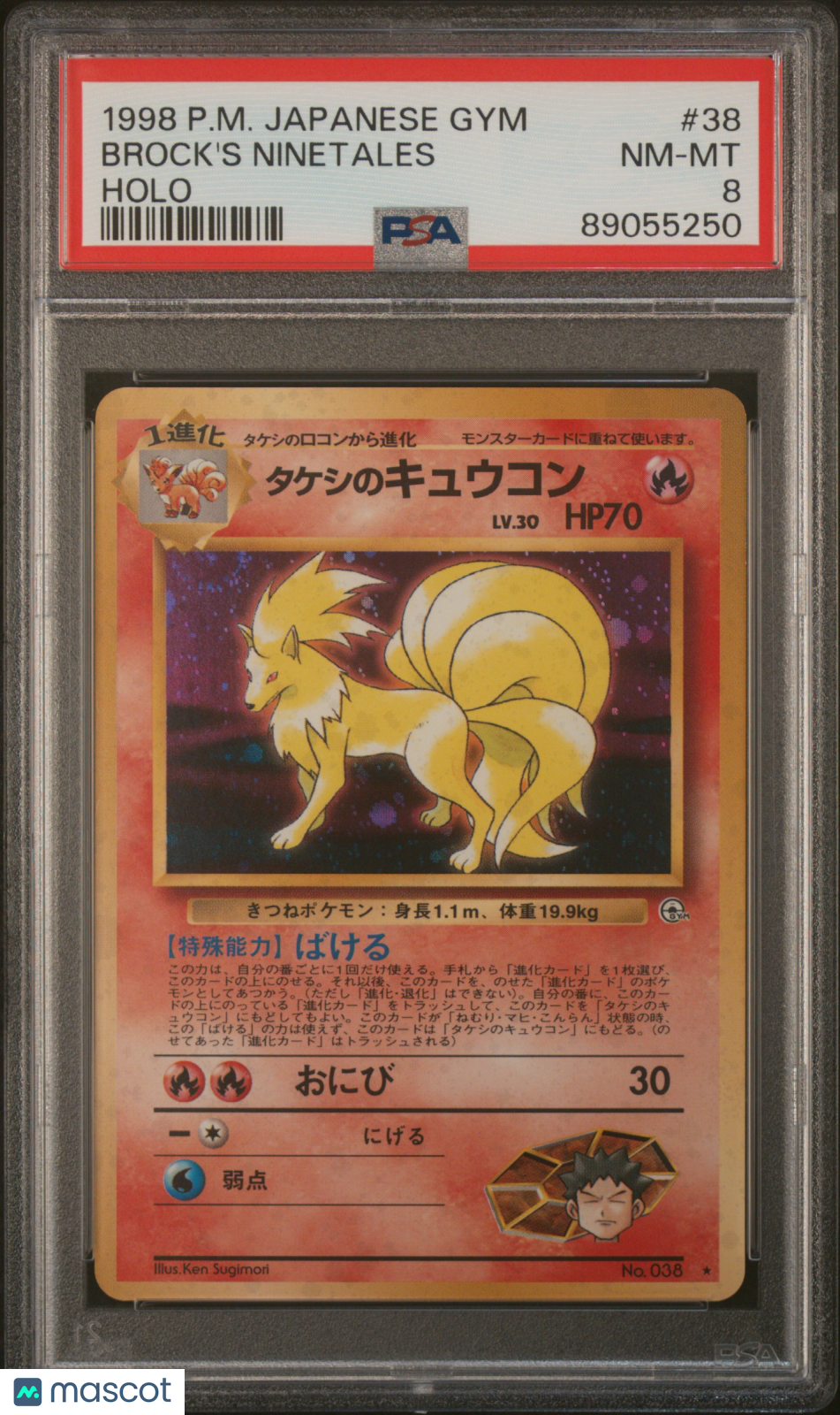 PokéNOLA Collectibles 