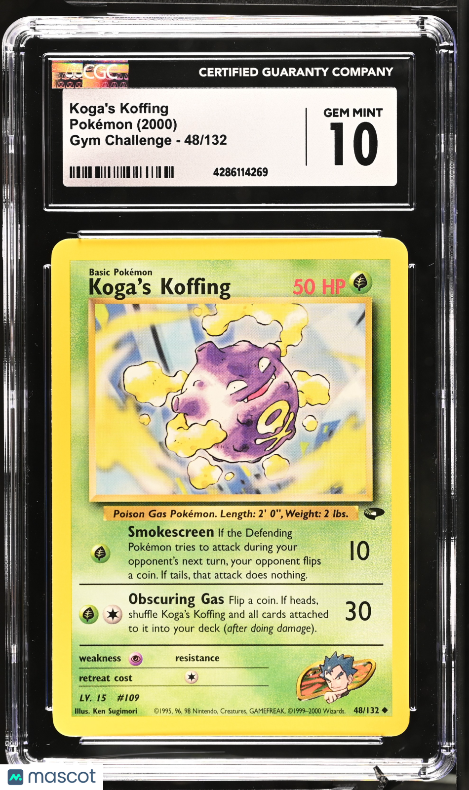 PokéNOLA Collectibles 