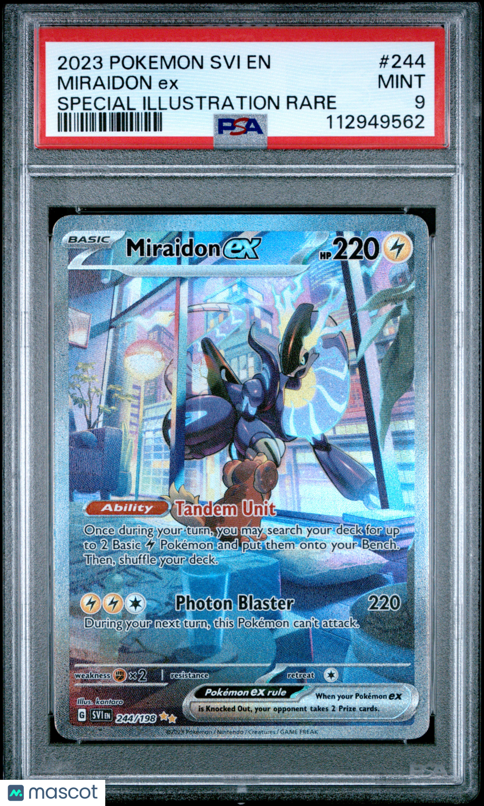 PokéNOLA Collectibles 