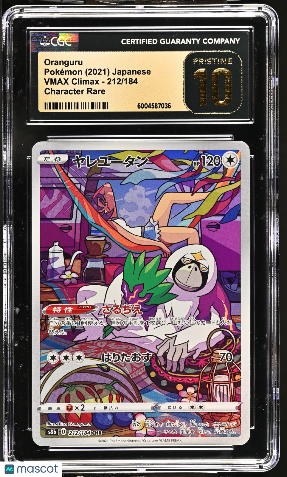 PokéNOLA Collectibles 