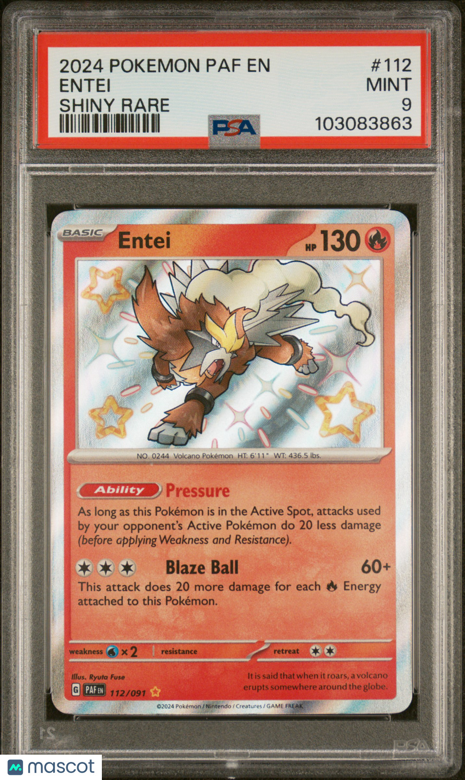 PokéNOLA Collectibles 