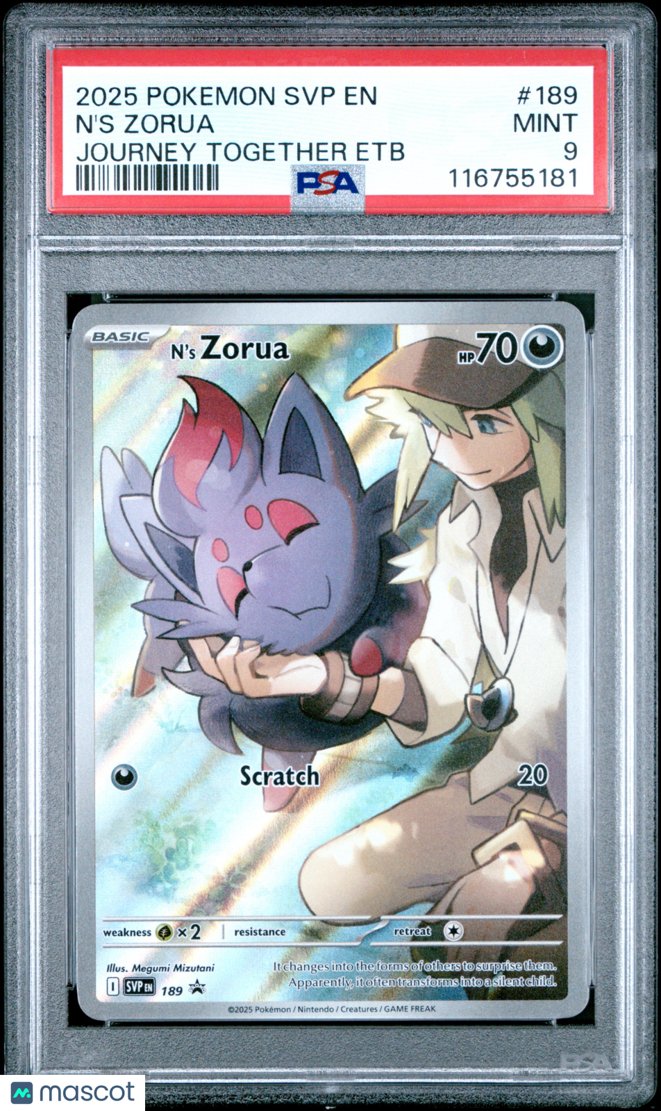 PokéNOLA Collectibles 
