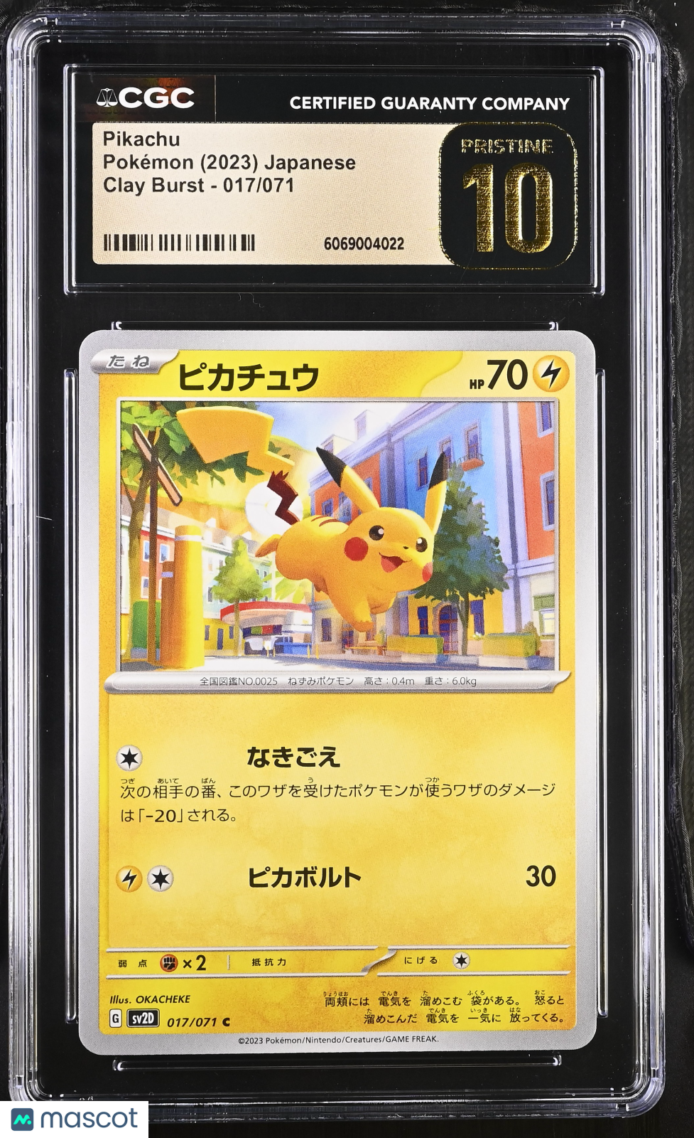 PokéNOLA Collectibles 