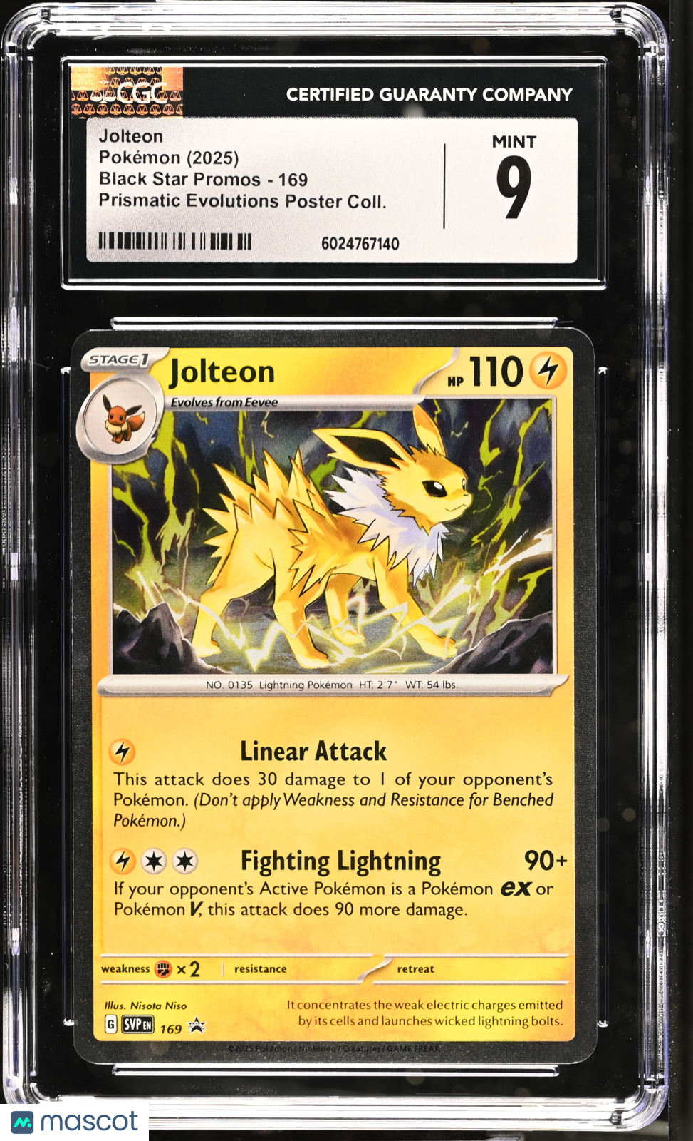 PokéNOLA Collectibles 