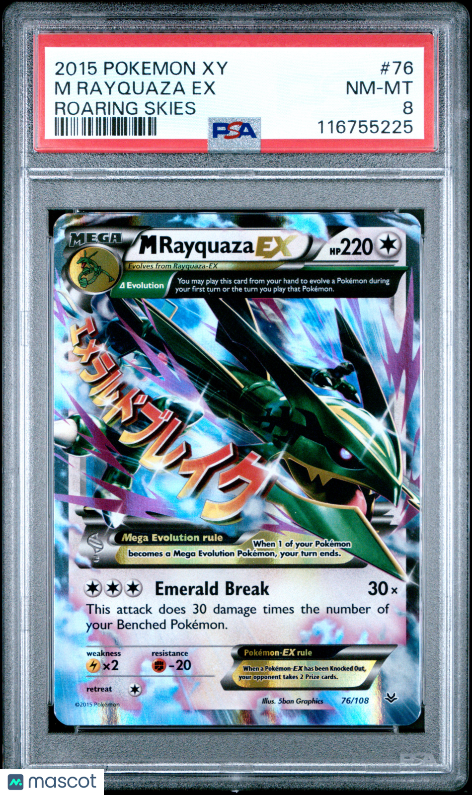 PokéNOLA Collectibles 