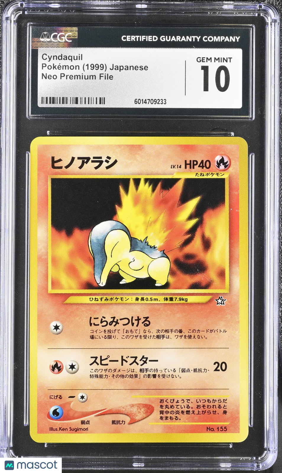 PokéNOLA Collectibles 