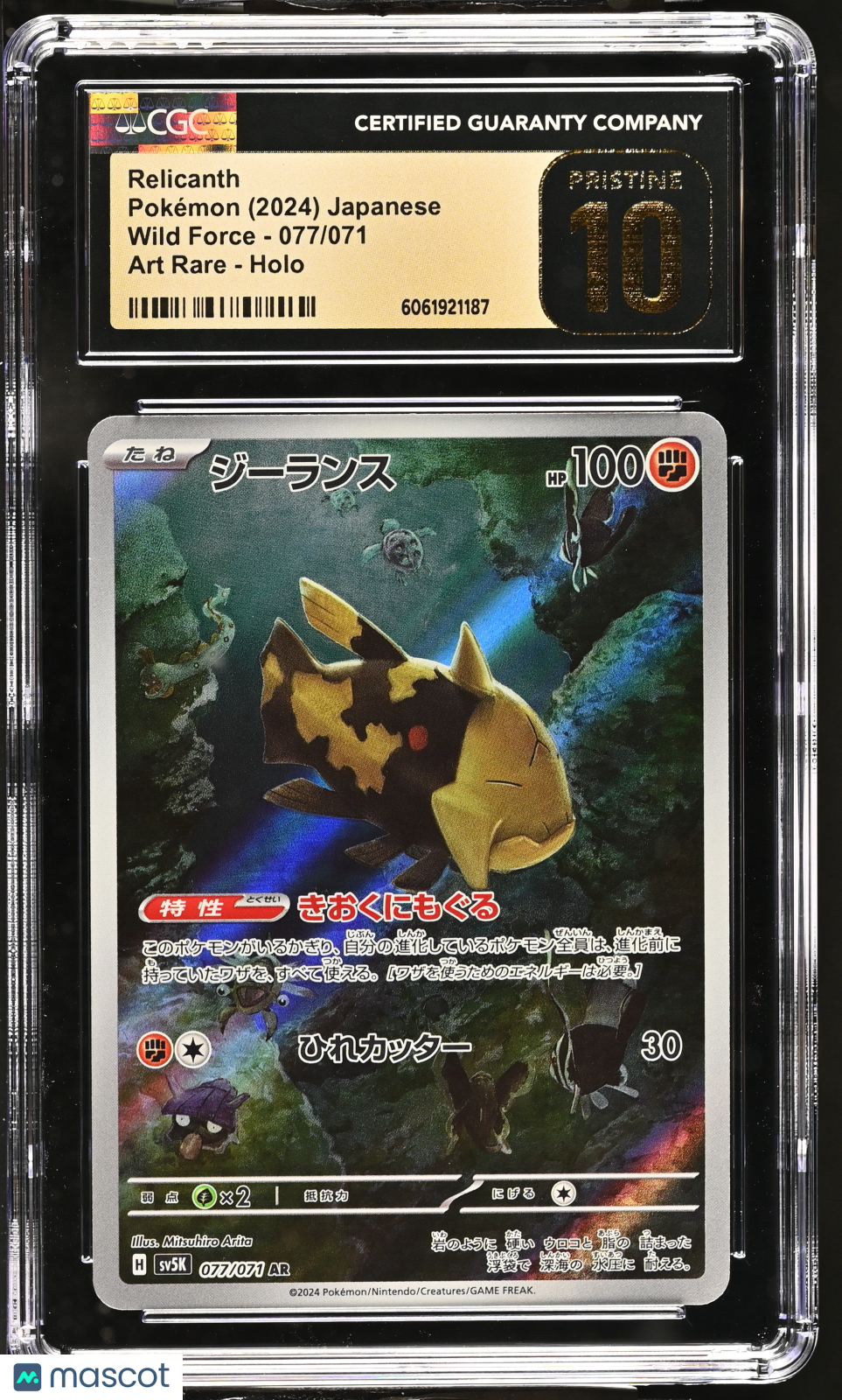 PokéNOLA Collectibles 