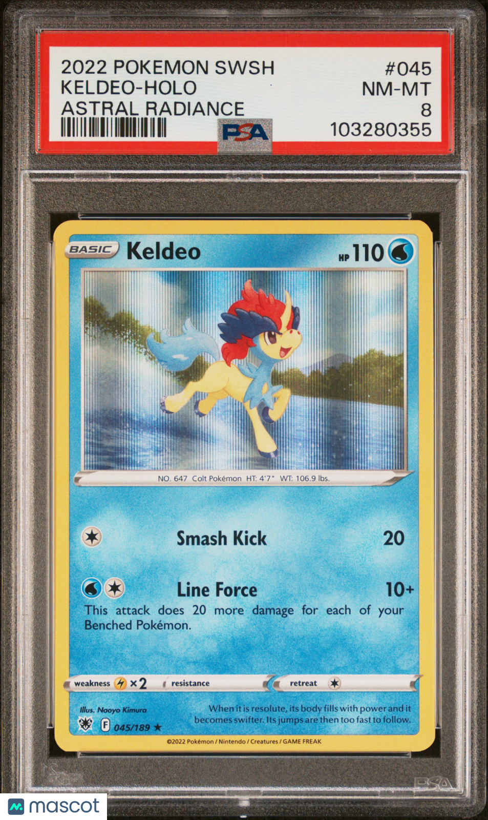PokéNOLA Collectibles 