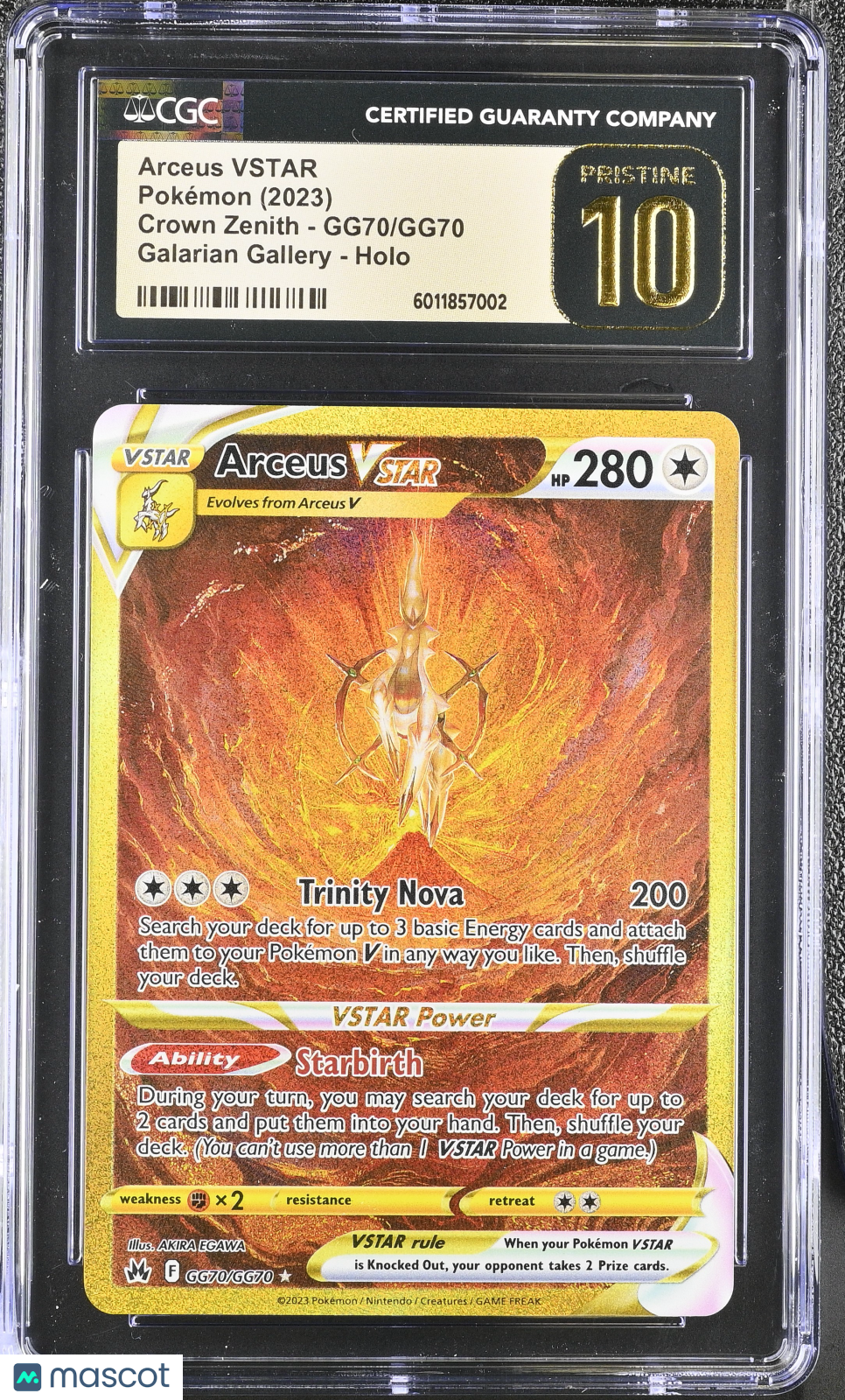 PokéNOLA Collectibles 