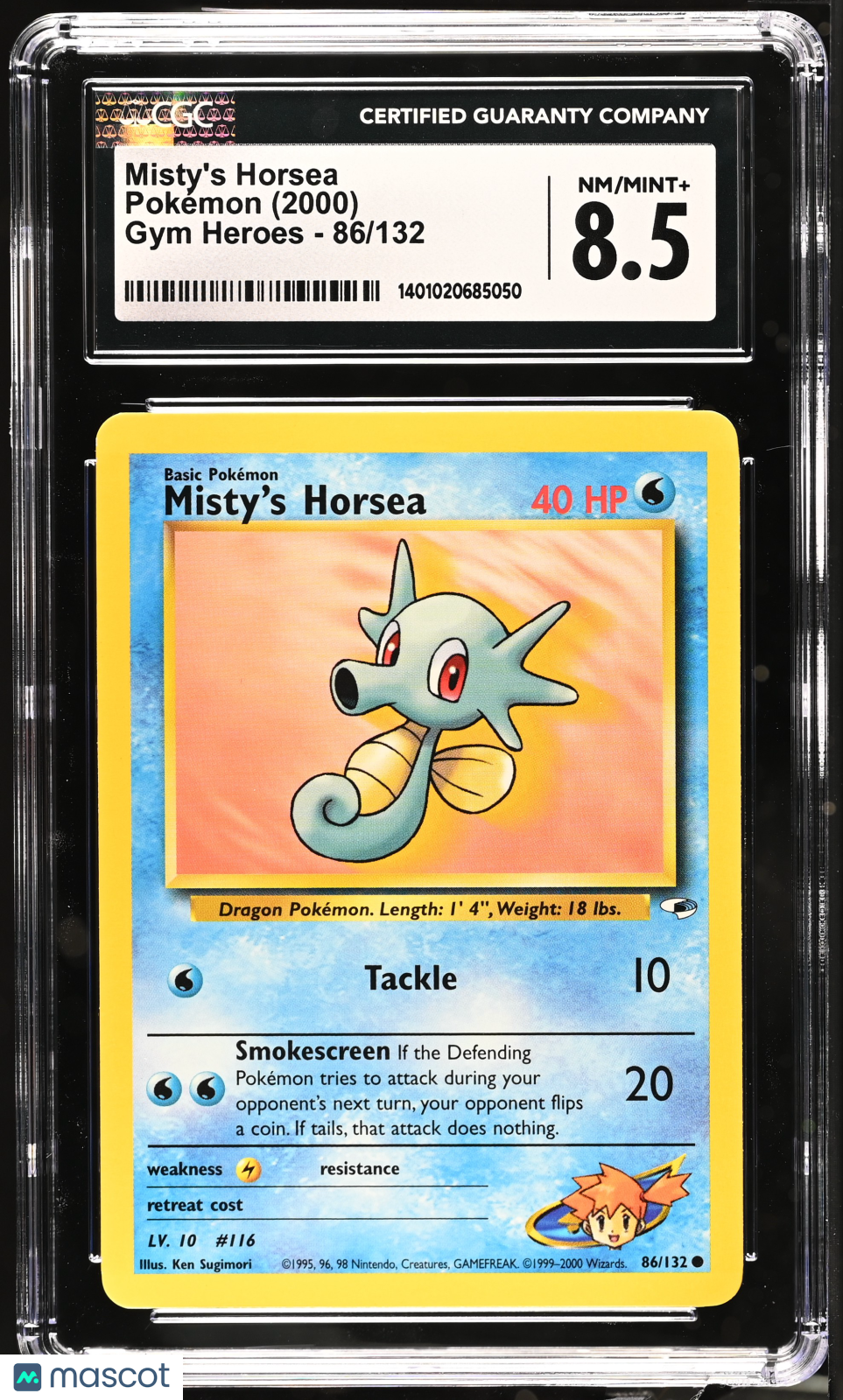 PokéNOLA Collectibles 
