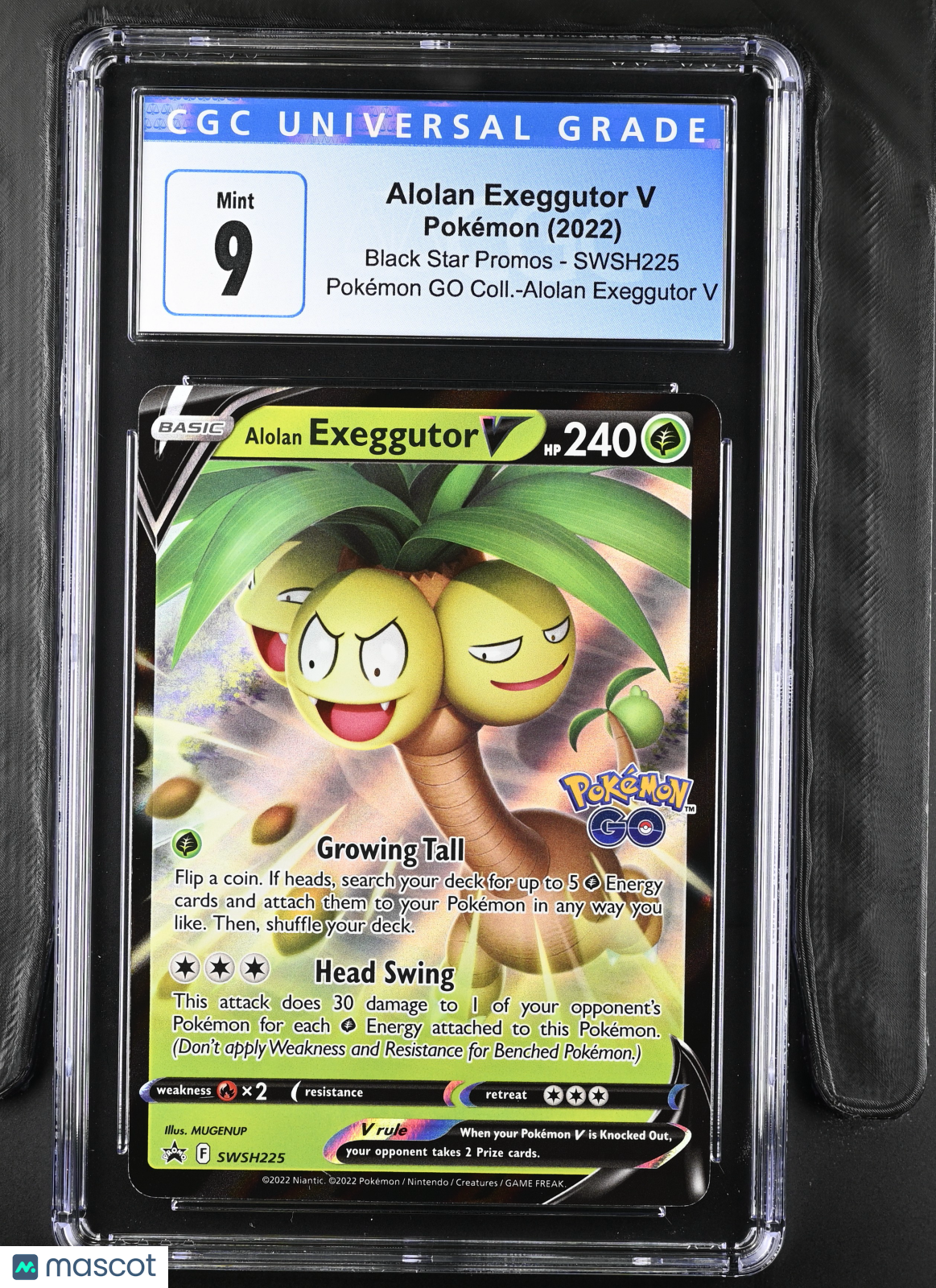 PokéNOLA Collectibles 