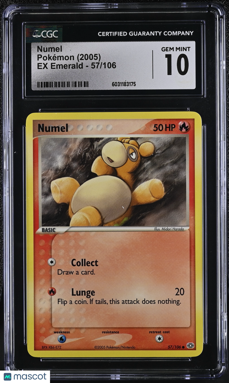 PokéNOLA Collectibles 