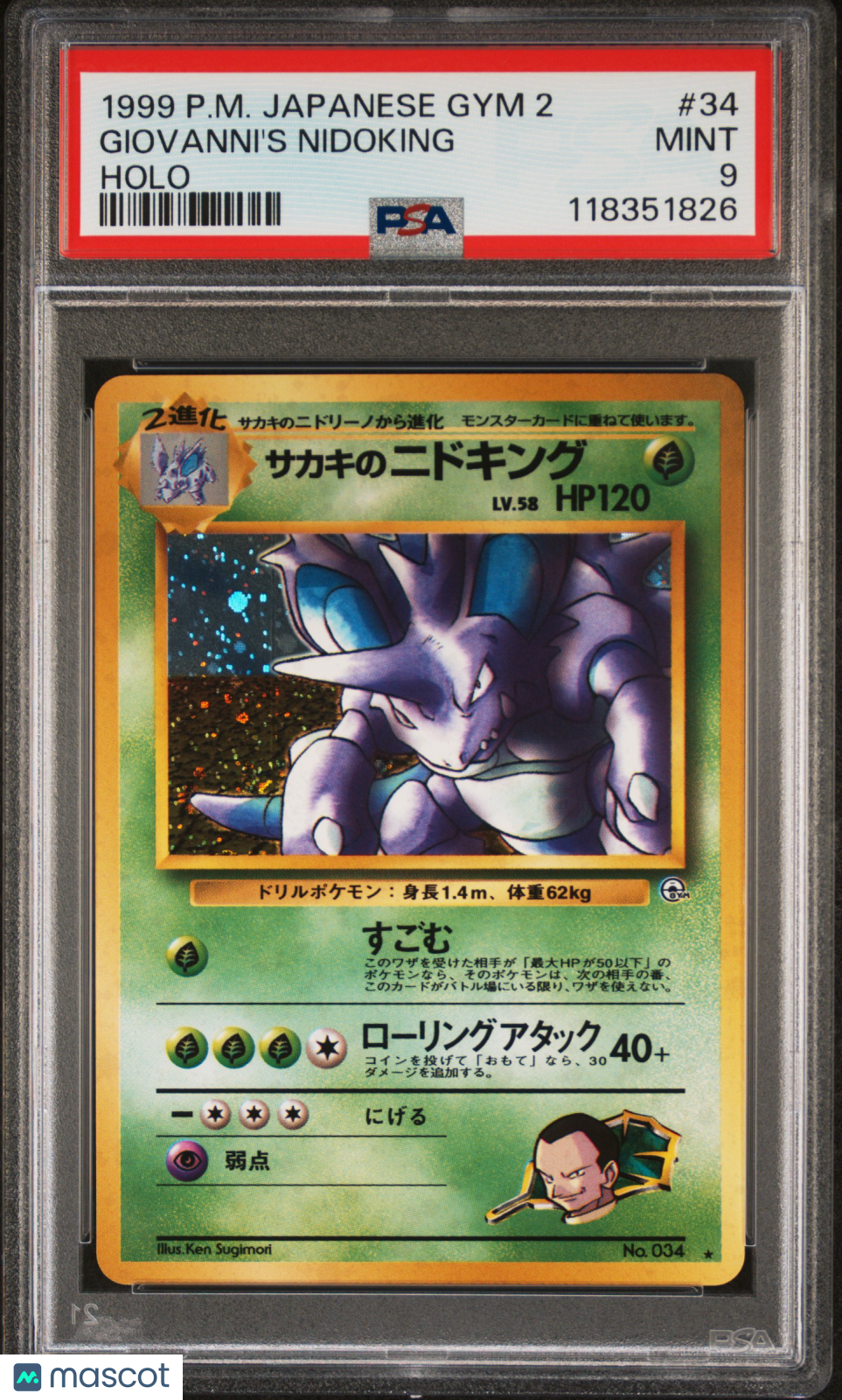 PokéNOLA Collectibles 