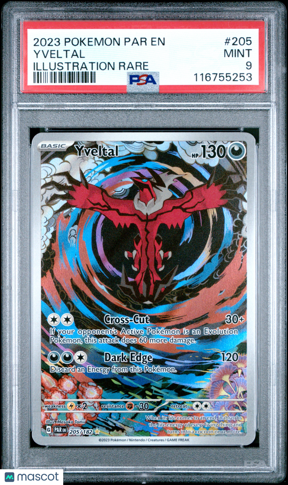 PokéNOLA Collectibles 