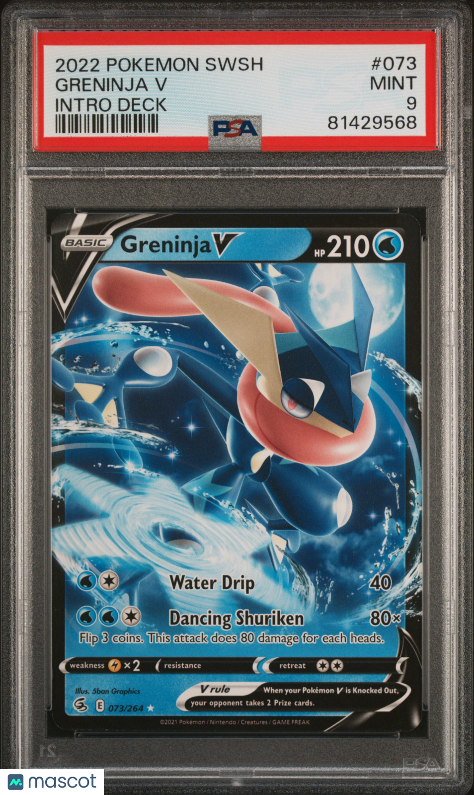 PokéNOLA Collectibles 