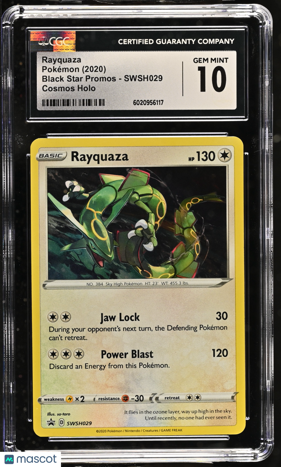 PokéNOLA Collectibles 