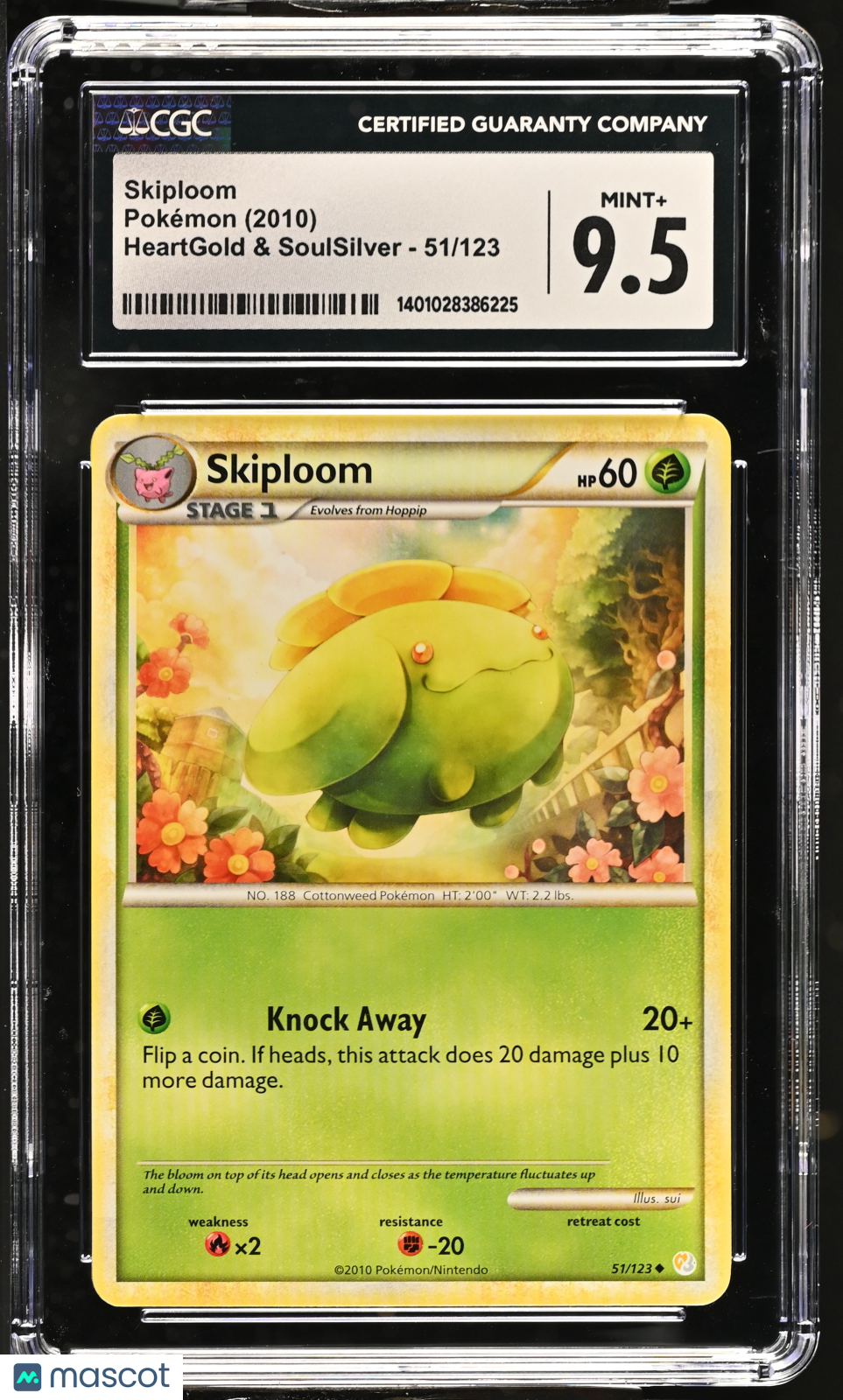 PokéNOLA Collectibles 