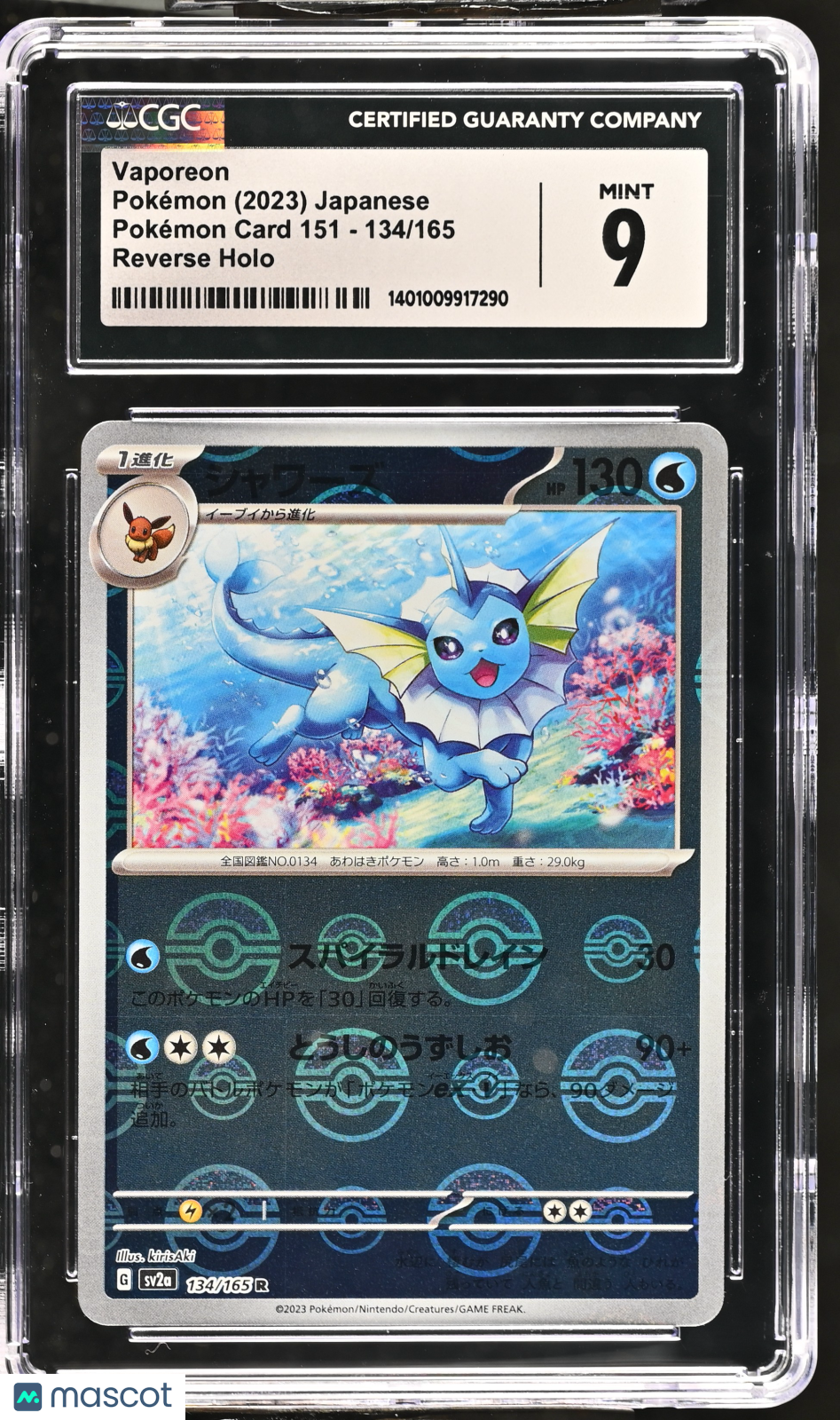 PokéNOLA Collectibles 
