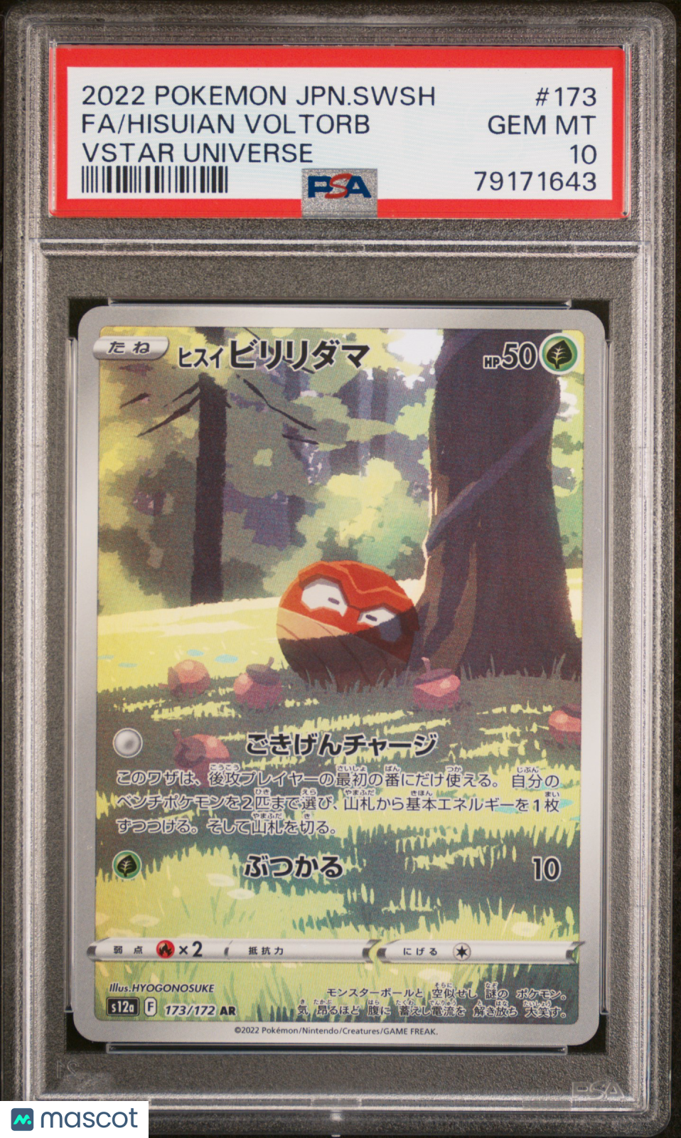 PokéNOLA Collectibles 