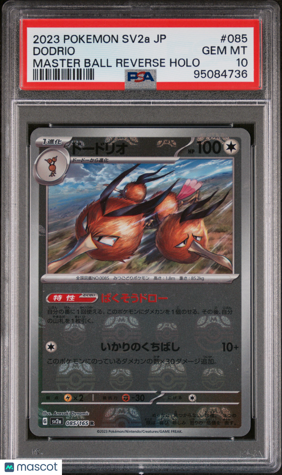 PokéNOLA Collectibles 